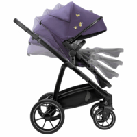 Універсальна коляска 2 в 1 Osann Olé Blackberry (121-228-287)