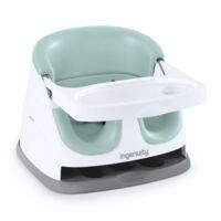 Сидение-бустер 2 в 1 Ingenuity Baby Base Mist (16728) 