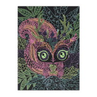 Набір для творчості Nebulous Stars Розмальовка: Коралія, чорні аркуші (11111)