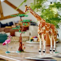 Конструктор LEGO Creator Дикие животные сафари (31150)