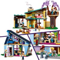 Конструктор LEGO Friends Семейные дома Олли и Пейсли (42620)