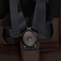 Коляска Anex iQ Premium Teddy (iq-08)