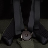 Коляска Anex iQ Premium Richi (iq-09)