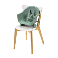 Стульчик для кормления Maxi-Cosi Moa Beyond Green (2710045111)