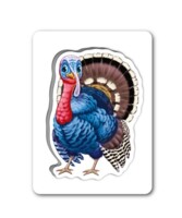 Настільна гра Пізнаємо з народження. На подвір'ї (9789667513849)