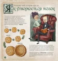 Як працює людський мозок. Дітям про науку. Пабло Барречеґурен (9786170981639)