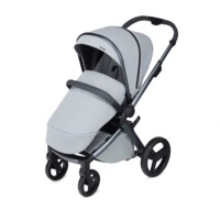 Anex l/type Frost дитяча коляска + сумка та чохол на ніжки (lt-10tN-f)