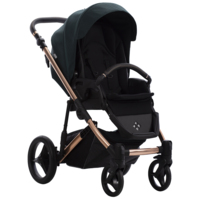 Коляска 2 в 1 Bebetto Loren Premium Class Stella 02 (503.41.23.ST02)