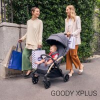 Прогулянкова коляска Chicco Goody XPlus (87040.84)