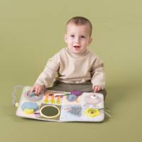 Развивающий центр для кроватки Taf Toys Познай мир (13115)