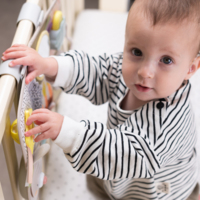 Развивающий центр для кроватки Taf Toys Познай мир (13115)