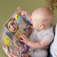 Развивающий центр для кроватки Taf Toys Познай мир (13115)