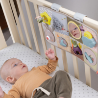 Развивающий центр для кроватки Taf Toys Познай мир (13115)