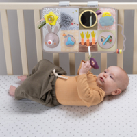 Развивающий центр для кроватки Taf Toys Познай мир (13115)