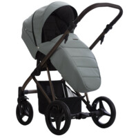 Коляска 2 в 1 Bebetto Flavio Choco 9, зелений (503.12.23.CP09)