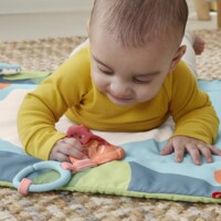 Килимок-ігровий центр Fisher-Price Панда (HKD65)