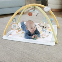 Розвиваючий килимок Fisher-Price Перші дотики дитини (HRB15)