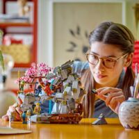 Конструктор LEGO NINJAGO Храм камня дракона (71819)