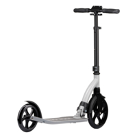 Самокат Miqilong Beagle, серый (BEAGLE-200-GRAY)