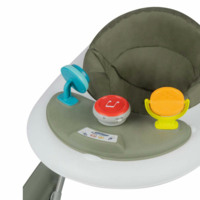 Ходунки дитячі BEBE CONFORT Dalia Mineral Green (2724116210)