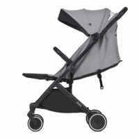 Прогулочная коляска Anex Air-X Twist (Ax-09)