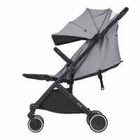 Прогулочная коляска Anex Air-X Twist (Ax-09)