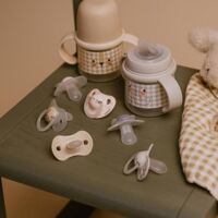 Ночная физиологическая пустышка Suavinex Медвежонок, 0-6 месяцев, 2 шт. (308212)