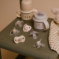 Ночная физиологическая пустышка Suavinex Кролик, 0-6 месяцев, 2 шт. (308214)