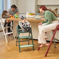 Крісло-шезлонг для новонароджених Chicco Crescendo (87078.47)