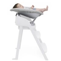 Крісло-шезлонг для новонароджених Chicco Crescendo (87078.47)