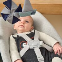 Крісло-шезлонг для новонароджених Chicco Crescendo (87078.47)