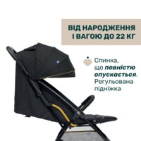 Прогулянкова коляска Chicco Glee Stroller (87068.78)