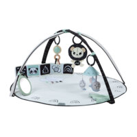 Розвиваючий килимок з дугами Tiny Love Day and Night (1209206830) 