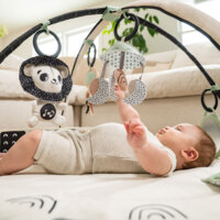 Развивающий коврик с дугами Tiny Love Day and Night (1209206830)