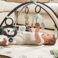 Развивающий коврик с дугами Tiny Love Day and Night (1209206830)