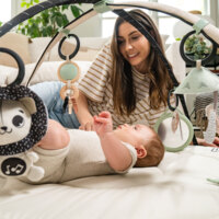 Развивающий коврик с дугами Tiny Love Day and Night (1209206830)