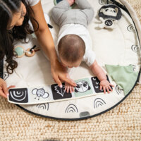 Развивающий коврик с дугами Tiny Love Day and Night (1209206830)