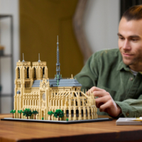 Конструктор LEGO Architecture Нотр-Дам-де-Парі 4383 деталі (21061)