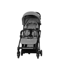 Прогулянкова коляска Hamilton by Yoop XL Light Grey (65481)