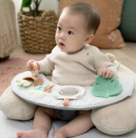 Розвиваючий килимок Ingenuity "Sit Up & Prop. Cozy Prop" (12629)