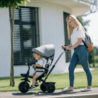 Трехколесный детский велосипед Free2Move Sport Black Grey (44169)