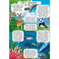 Книга "Книга с секретными окошками. Интересные знания обо всем" (9789669368133)