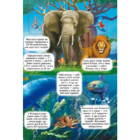 Книга "Книга с секретными окошками. Интересные знания обо всем" (9789669368133)