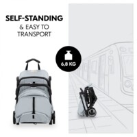 Прогулянкова коляска Hauck Travel N Care Disney Simba (16032-9)