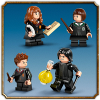 Конструктор LEGO Harry Potter Замок Хогвартс: Урок злеварения (76431)