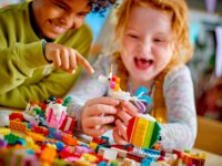 Конструктор LEGO Classic Творча святкова коробка (11029)