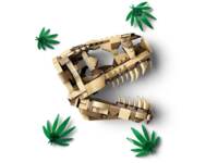 Конструктор LEGO Jurassic World Скамʼянілості динозаврів: череп тиранозавра (76964)