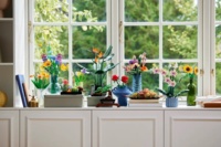 Конструктор LEGO Botanicals Подсолнухи (40524)