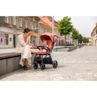 Прогулочная коляска FreeON Dynamic, серый (82573)