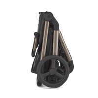 Детская коляска 2в1 Anex Flo Solo (fl-01с/fl-01f)